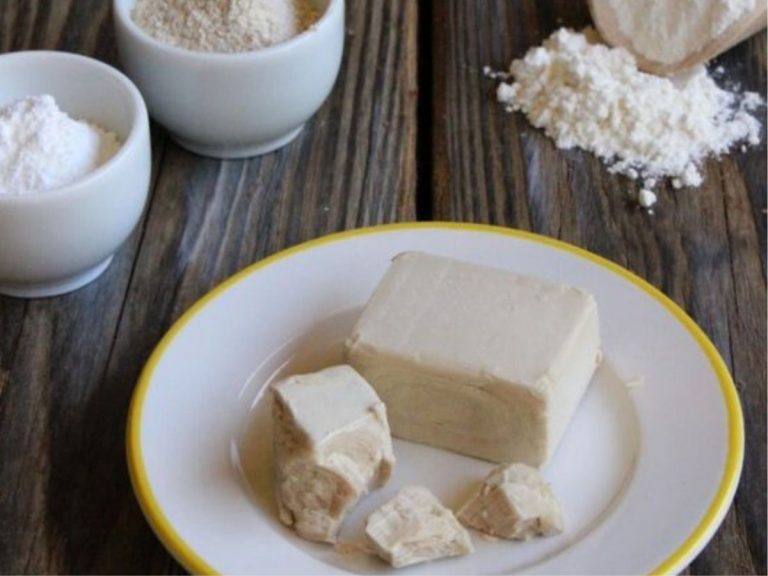 lievito di birra fatto in casa