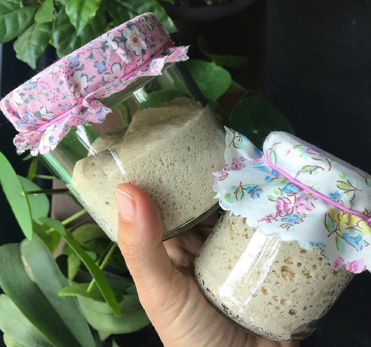 come fare lievito madre a casa