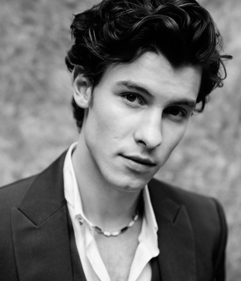 Shawn Mendes taglio riccio