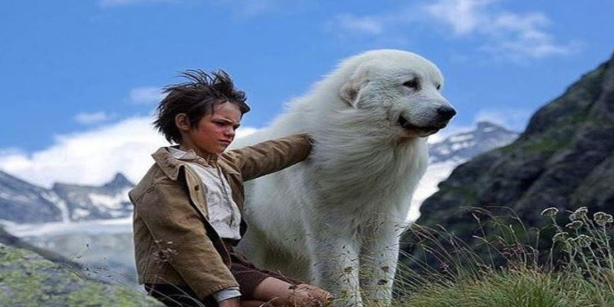 stasera in tv 17 aprile 2020