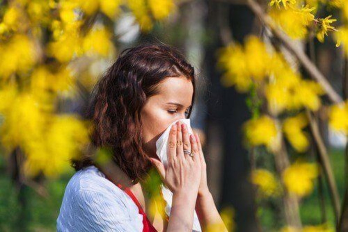 allergie