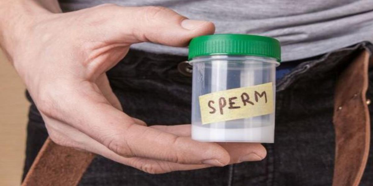 curiosità sullo sperma