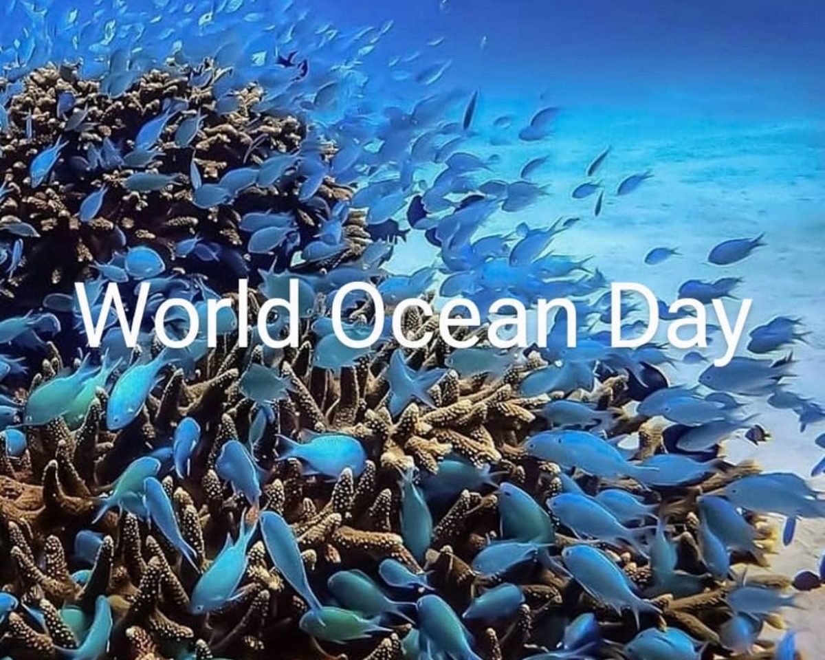 Giornata mondiale degli oceani moda