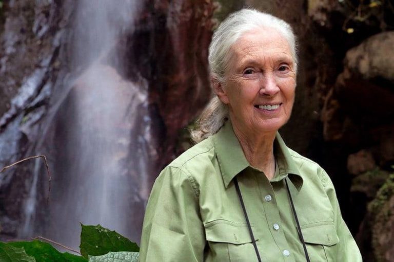 jane goodall chi è