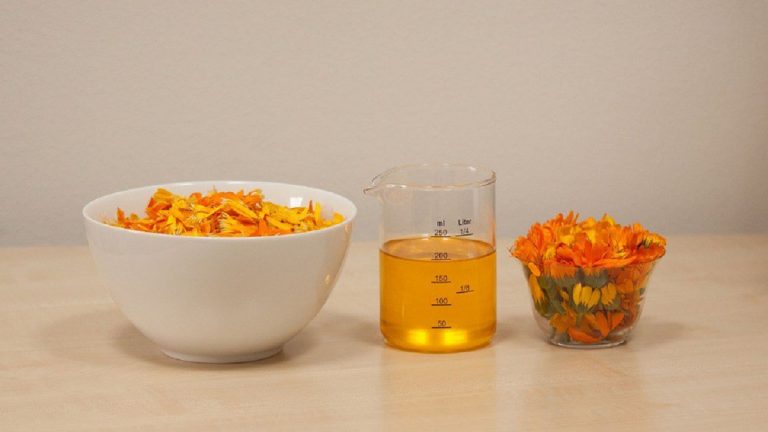 Olio di calendula fai da te