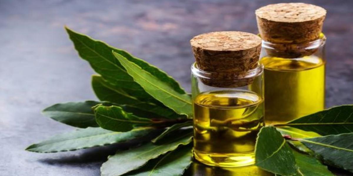 alloro proprietà cosmetiche