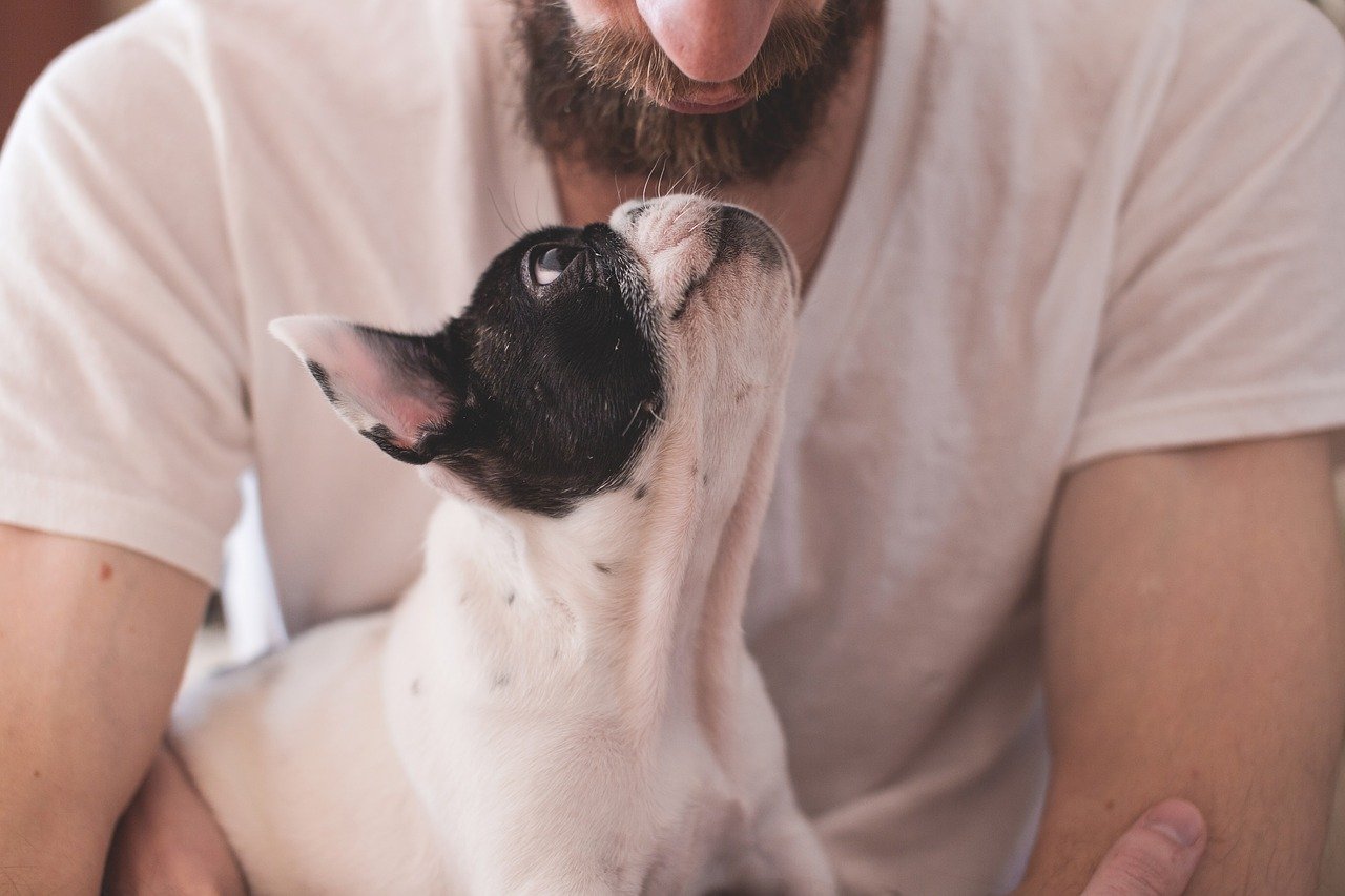 Dieci comandamenti del cane