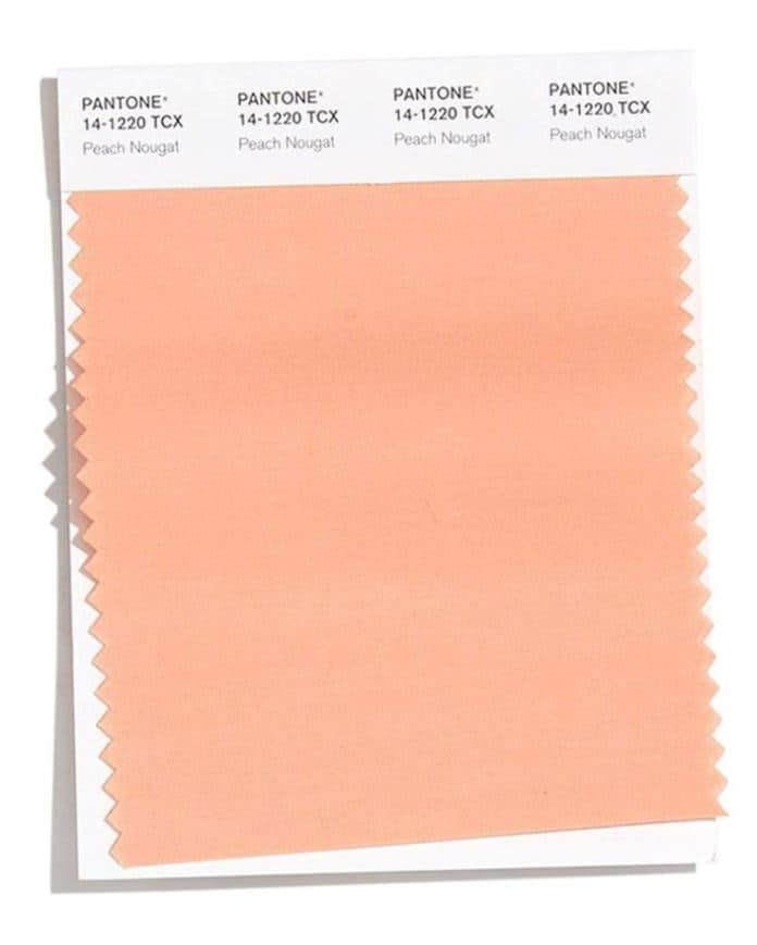 Colori autunno inverno 2020-21