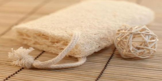 come usare guanto di crine