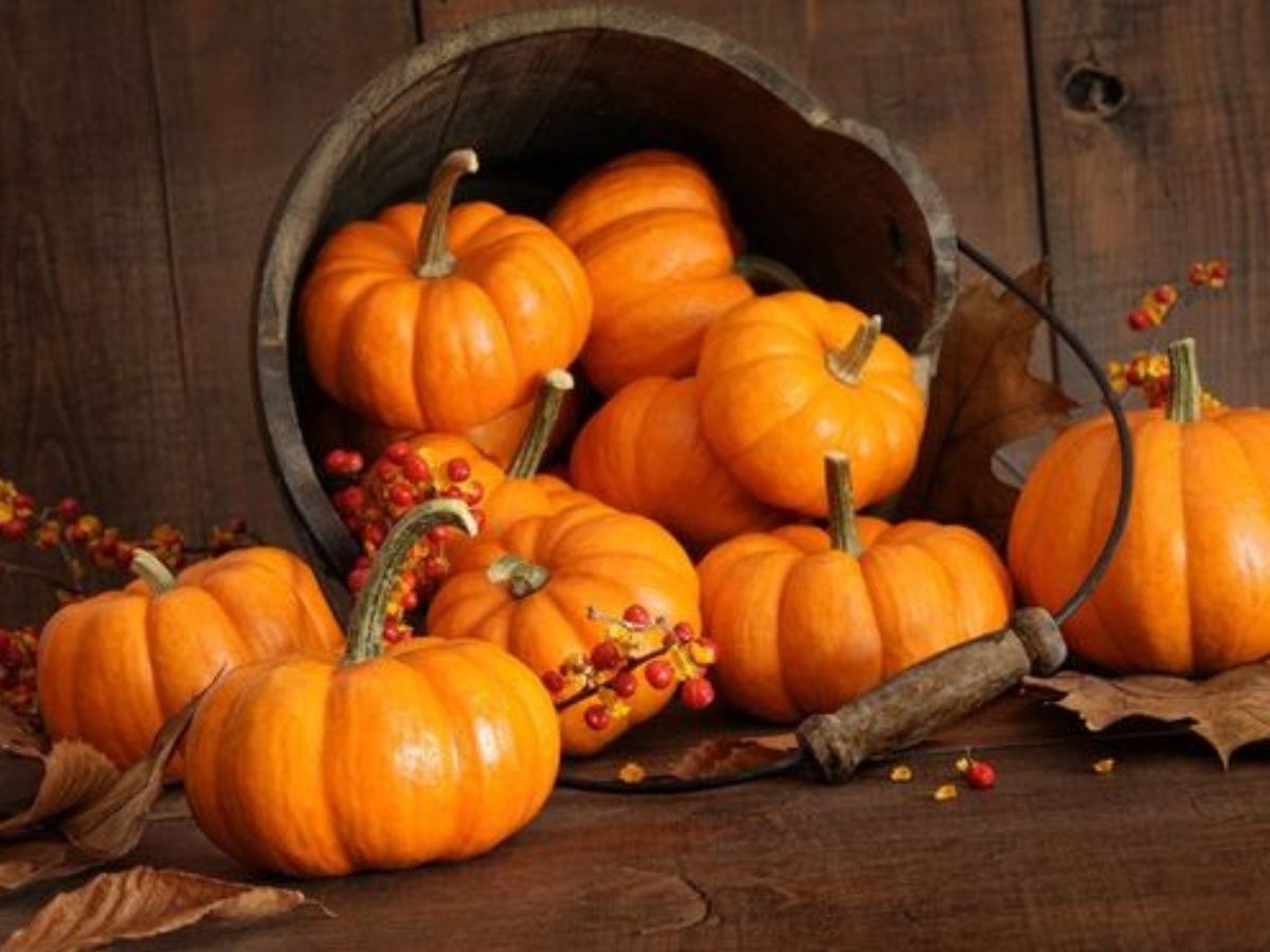 dieta della zucca menu