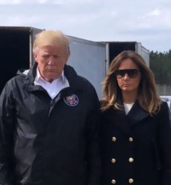 fake melania