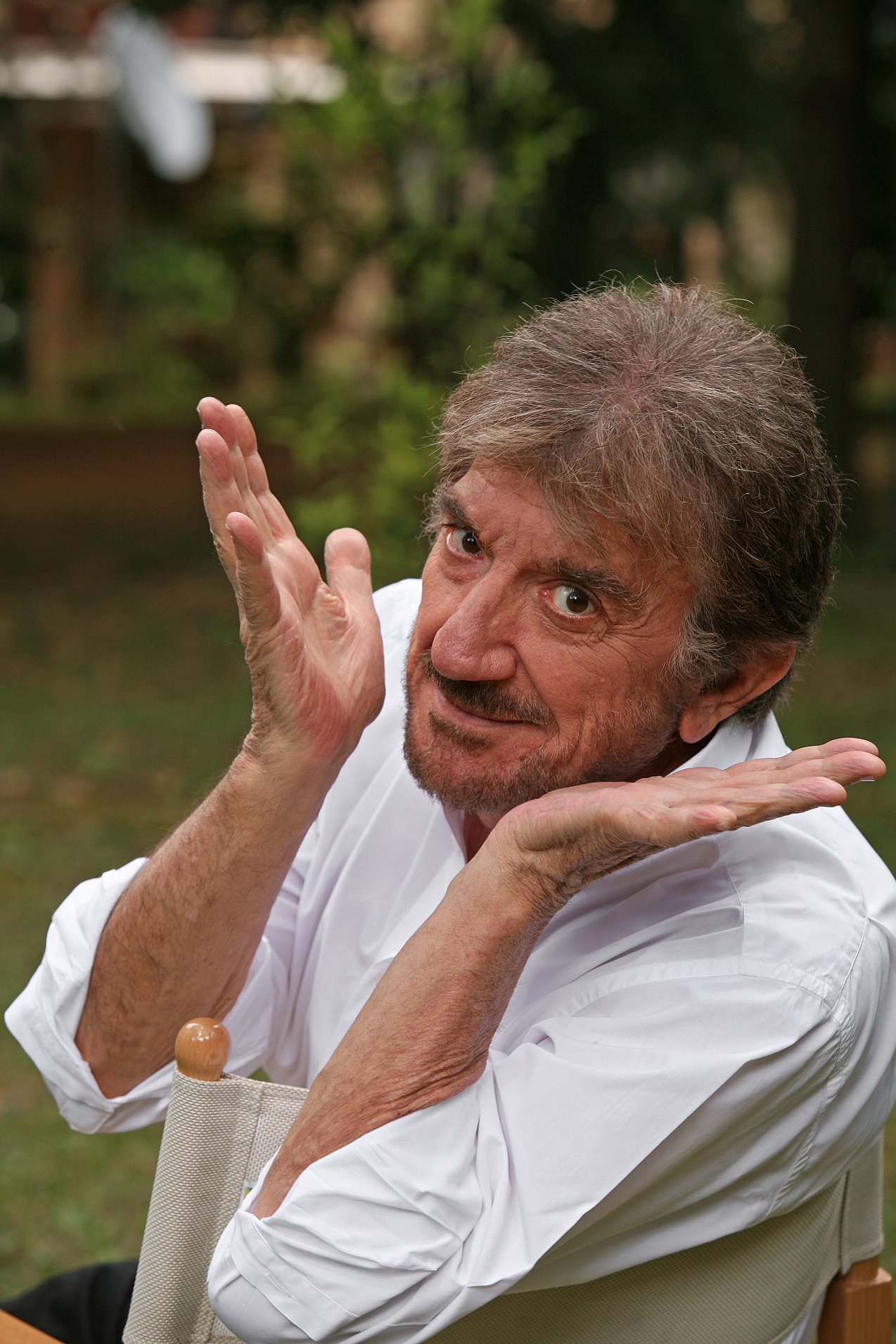 Chi &egrave; Gigi Proietti