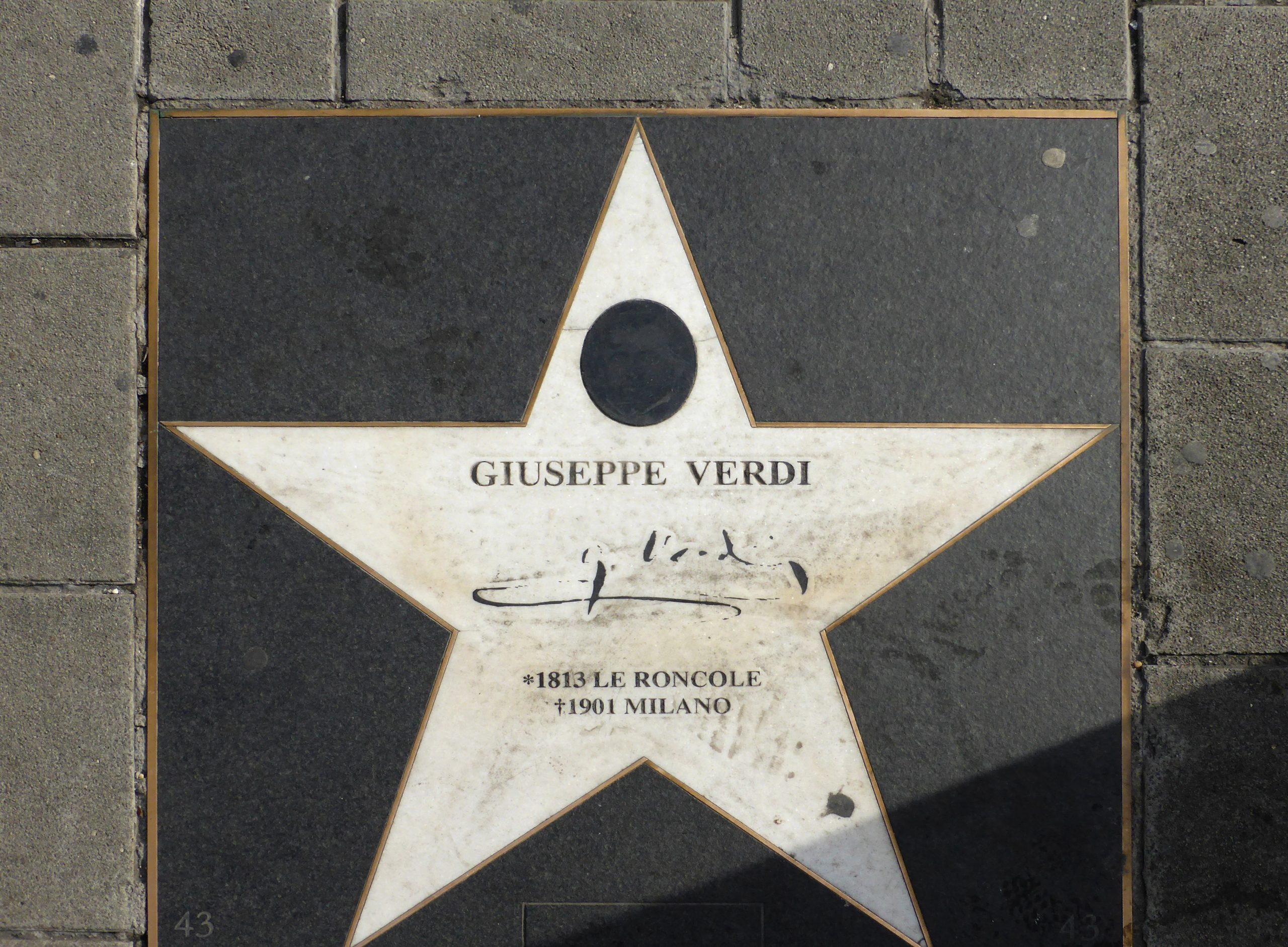giuseppe verdi stella