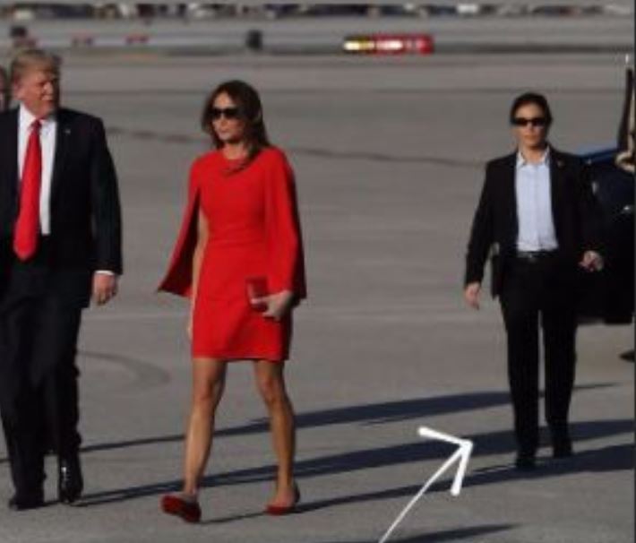 melania agente segreto