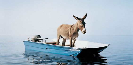 effetto dunning kruger cosa &egrave;