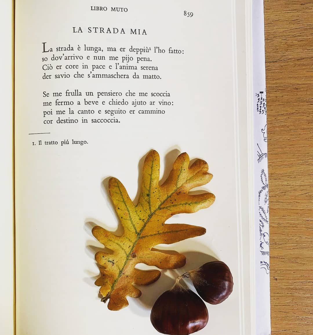 chi era trilussa
