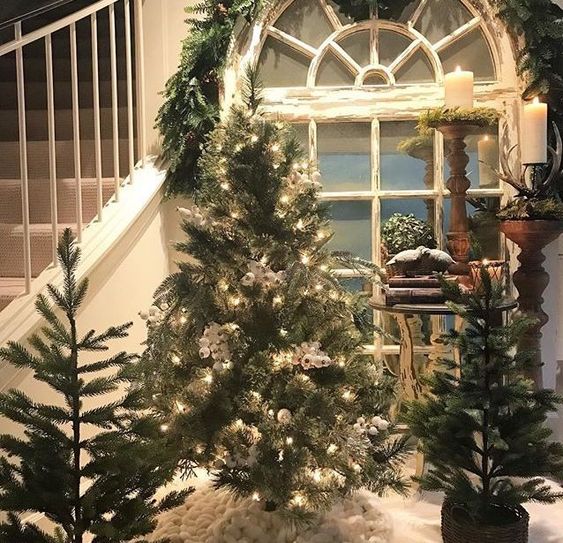 albero di natale ecosostenibile