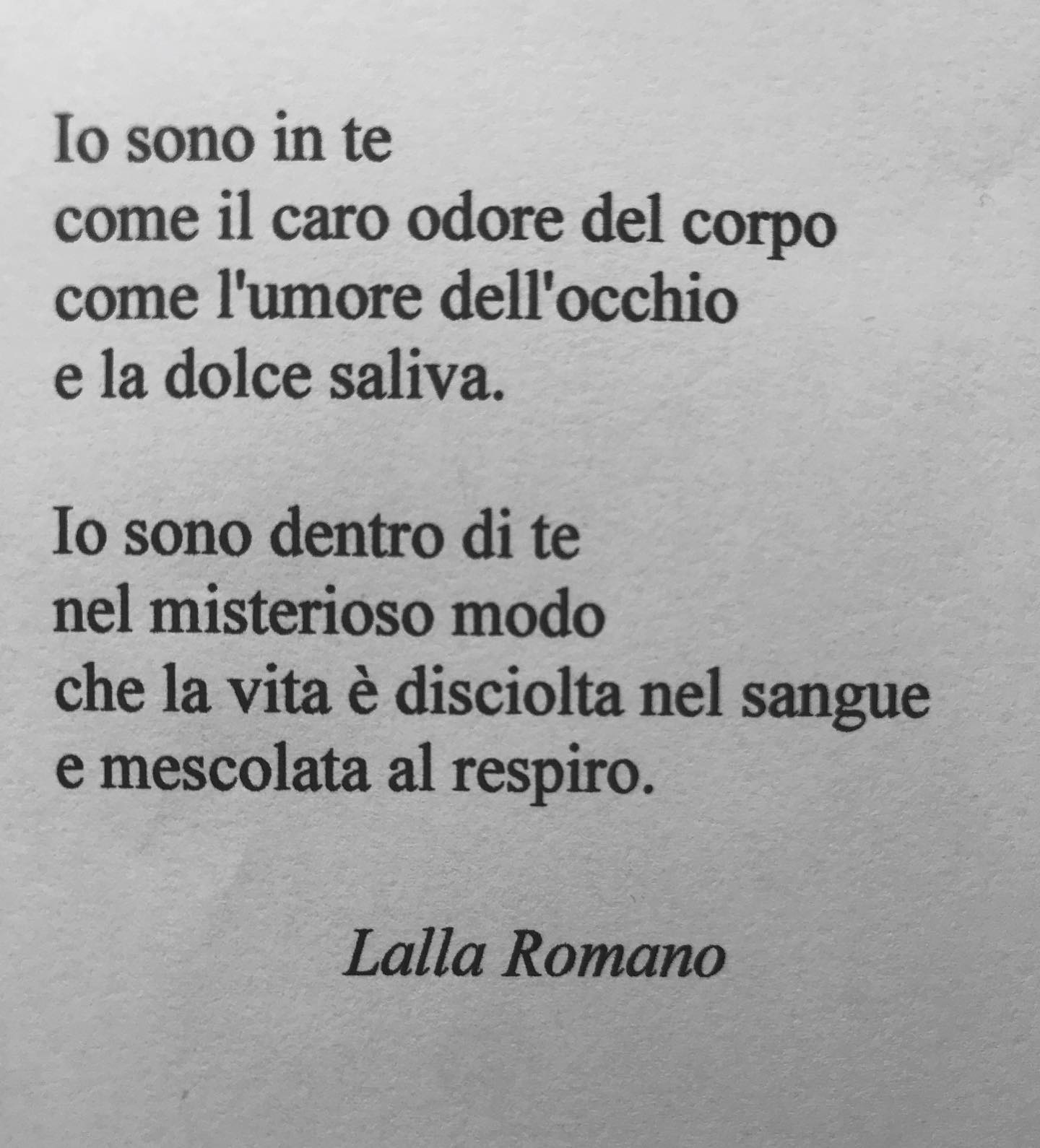 chi &egrave; lalla romano