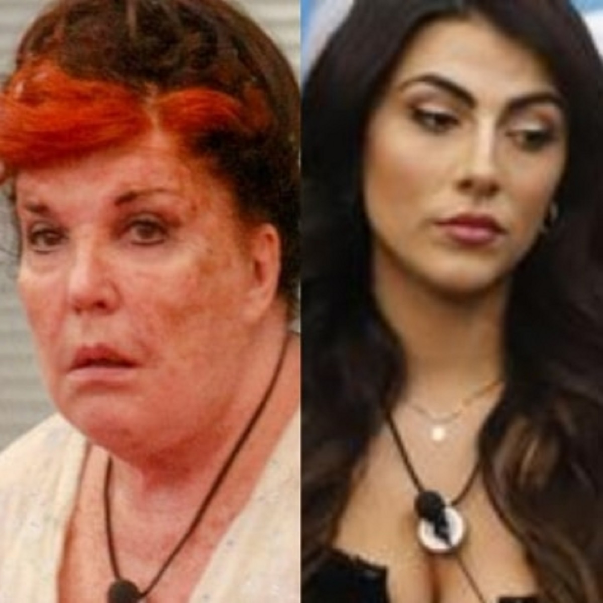 gf vip 5 lite dopo puntata