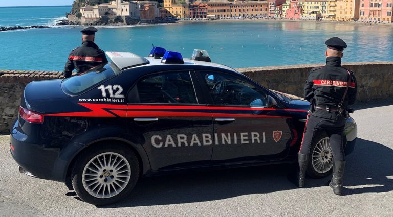 rimini violenza sessuale cugina