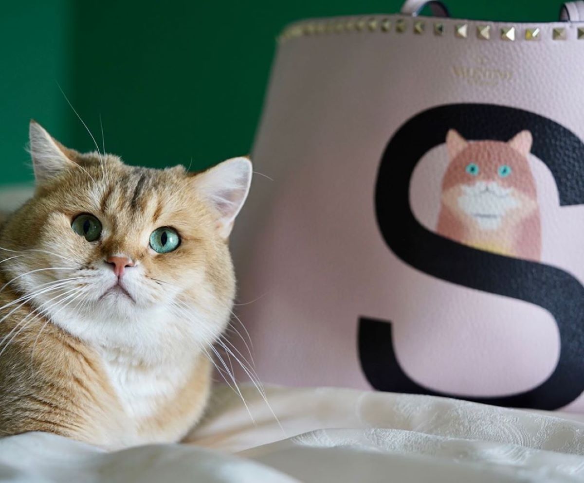 borse valentino animali