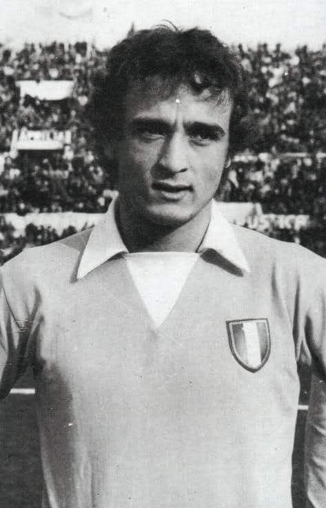 chi &egrave; vincenzo d'amico