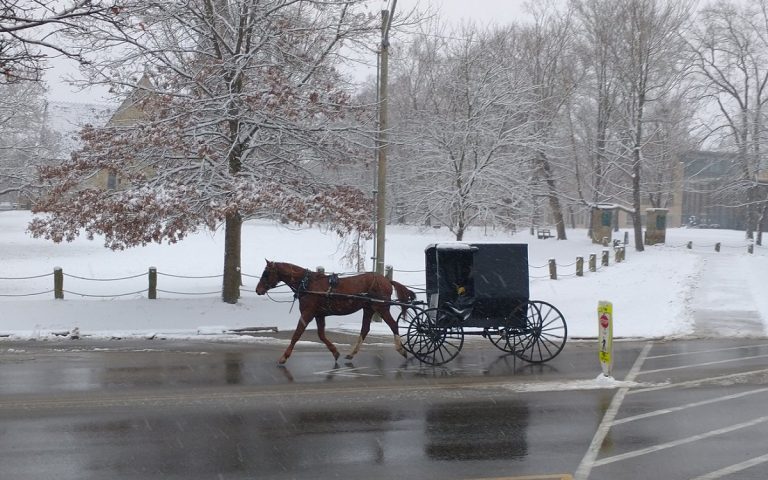 amish e la cultura degli stupri