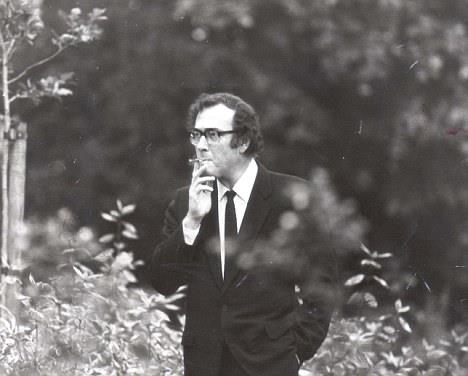 chi era harold pinter