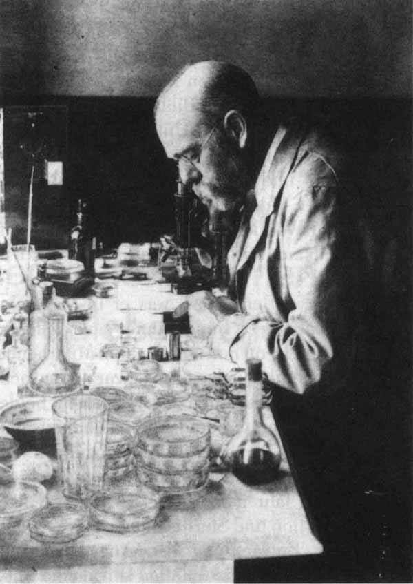 chi era robert koch