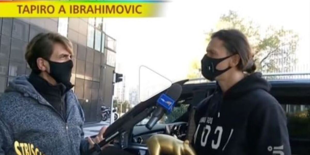 zlatan ibrahimovic tapiro d'oro