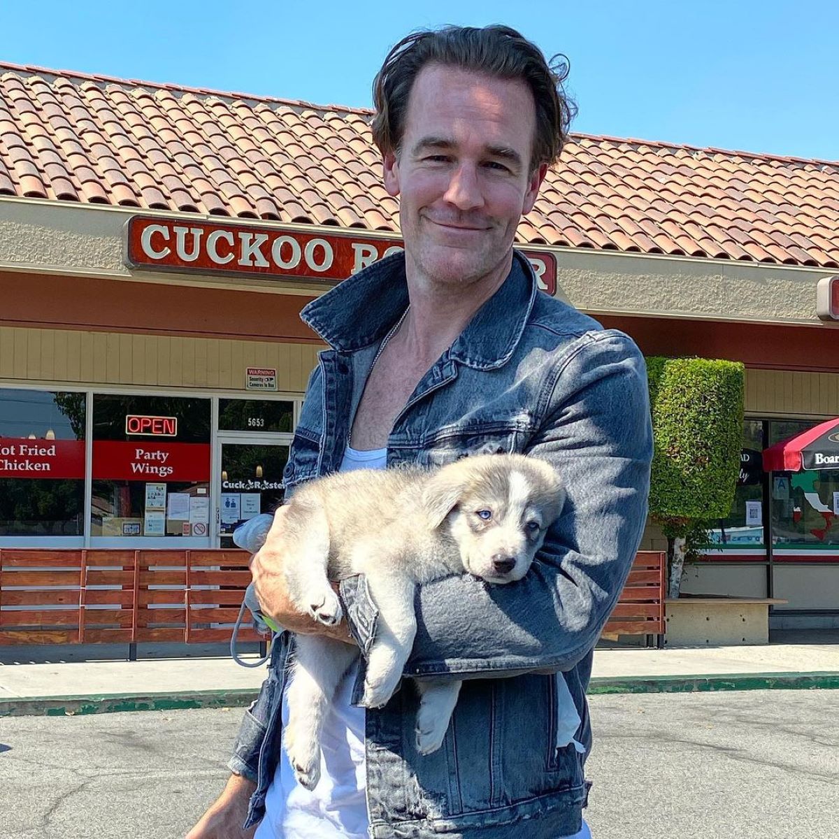 dawsons creek cast oggi