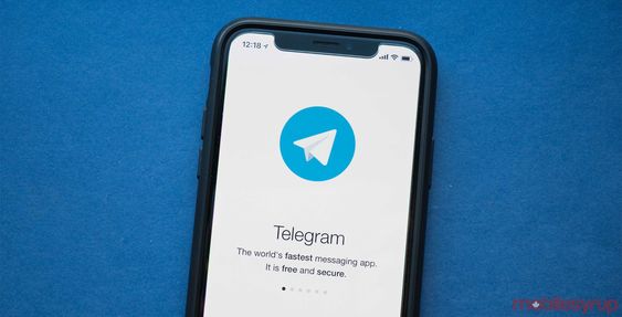 signal telegram whatsapp differenze
