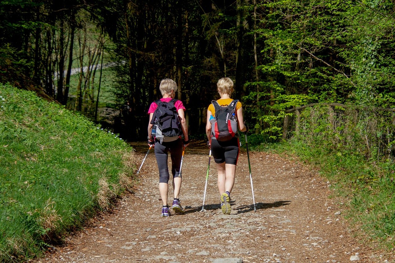 nordic walking cosa e