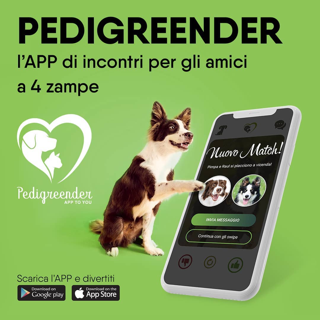 pedigreender