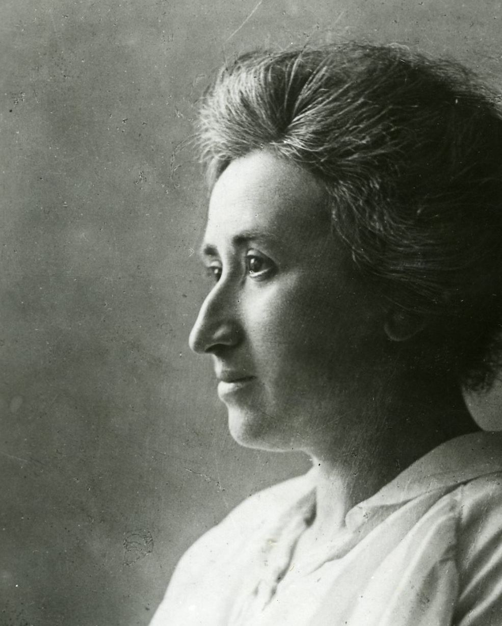 chi era rosa luxemburg