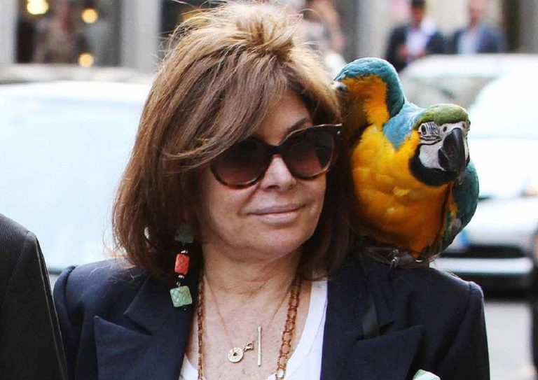 patrizia reggiani chi è