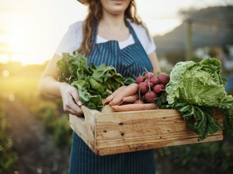 dieta ecologica come nutrirsi in modo sostenibile