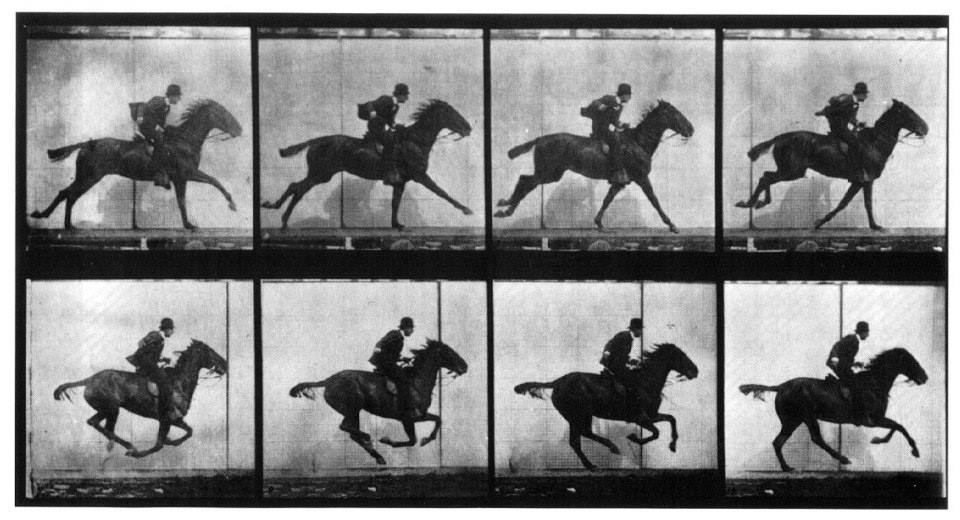 Chi era Eadweard Muybridge