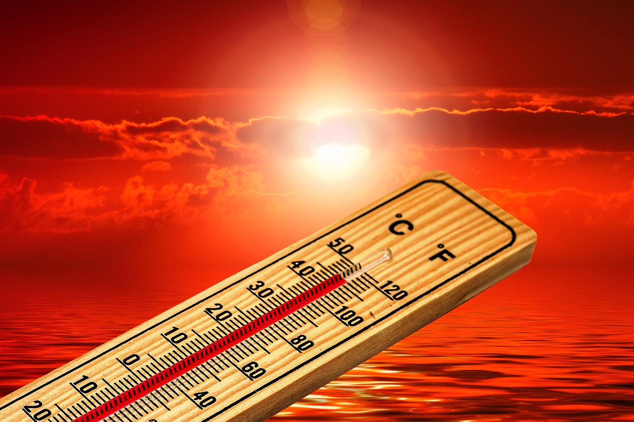caldo record