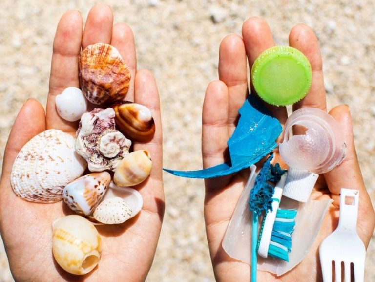 plastic fishing cosa e