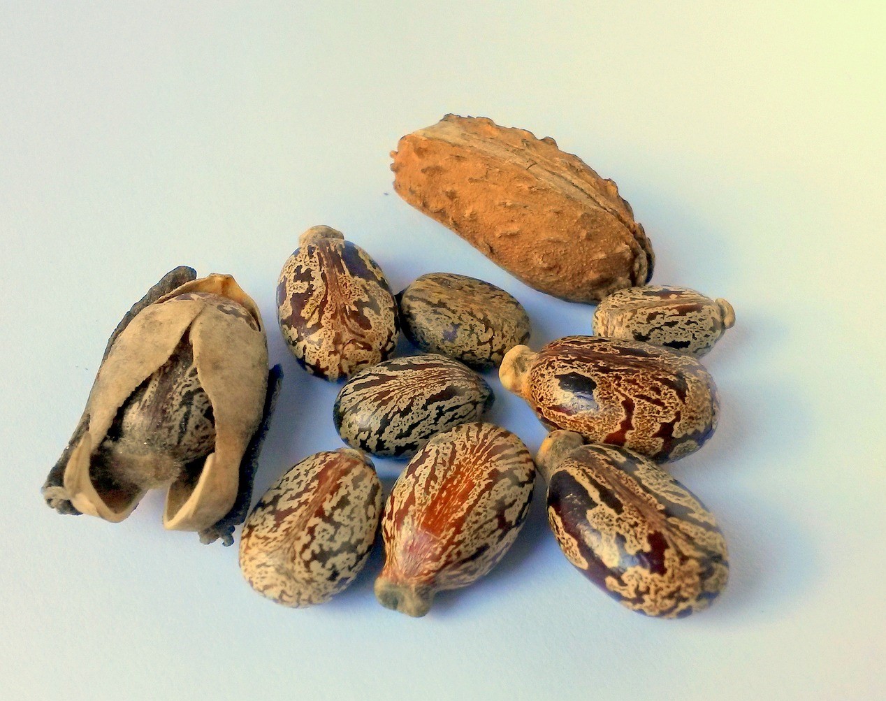 Migliori rinforzanti unghie