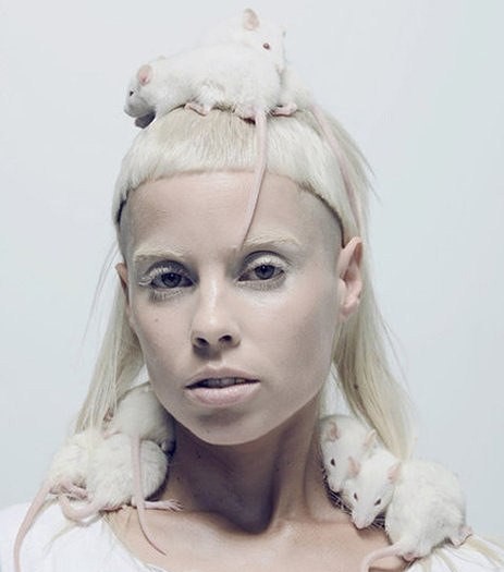 sopracciglia decolorate