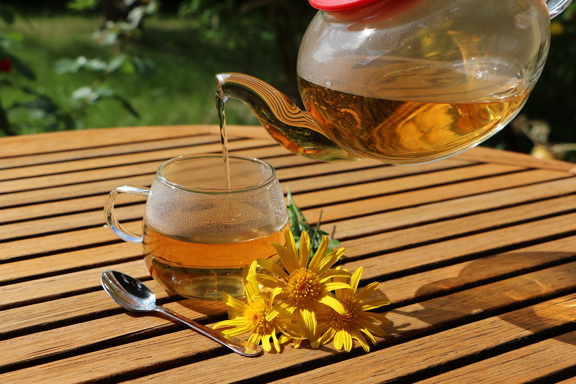 tisane per ogni momento della giornata