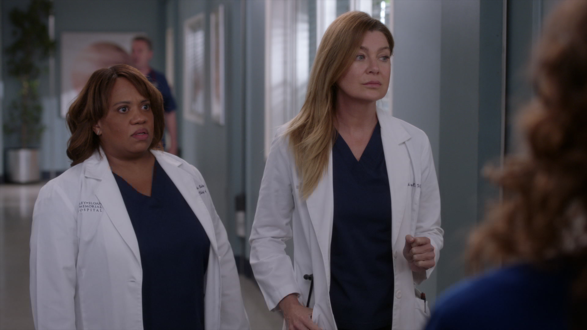 Chi &egrave; Ellen Pompeo