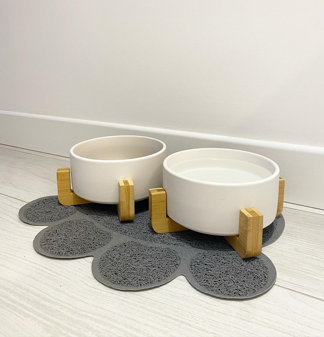 vestiti accessori cani gatti