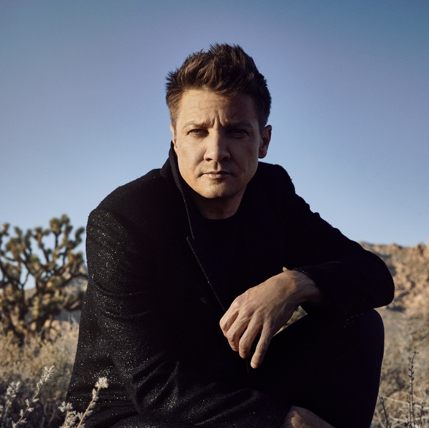 Chi &egrave; Jeremy Renner