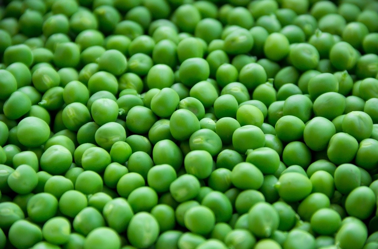 come iniziare una dieta vegana