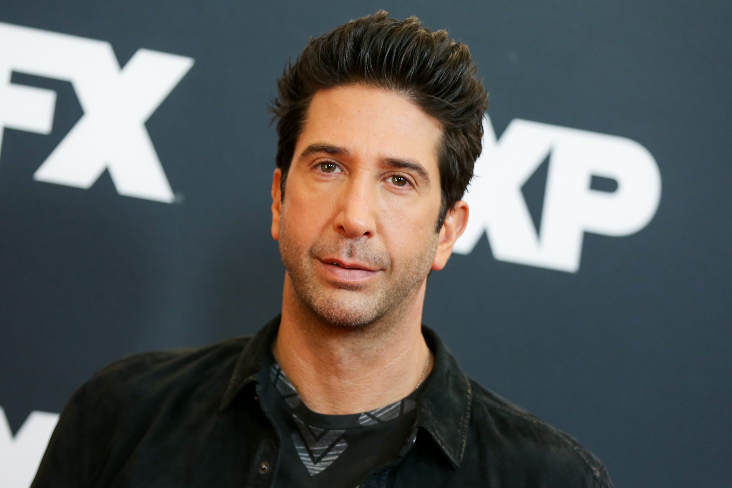 david schwimmer