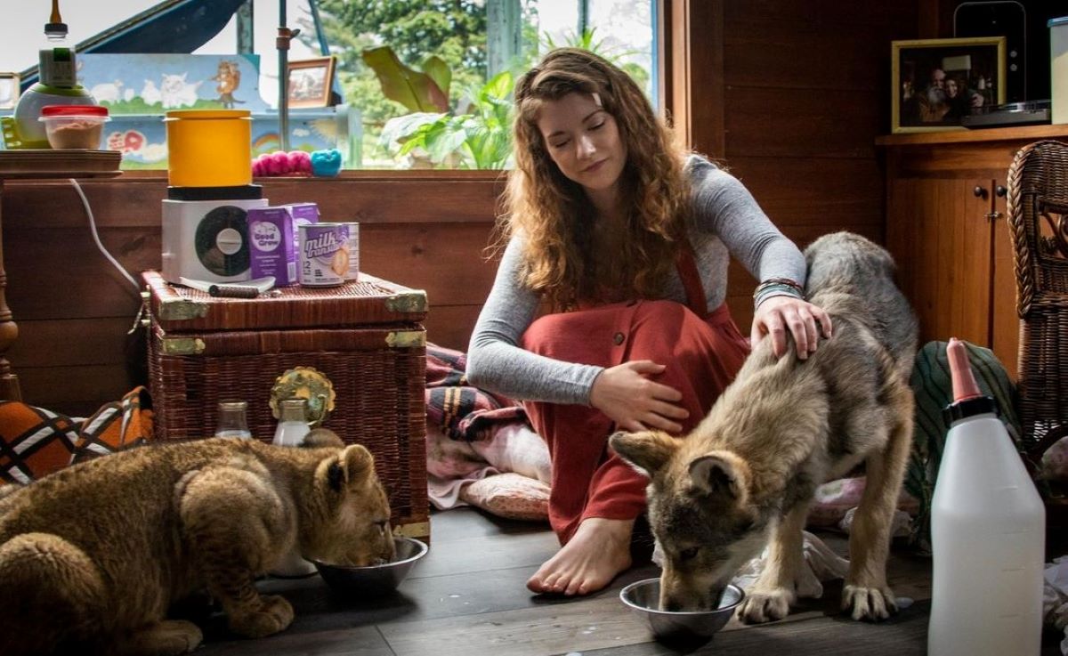 il lupo e il leone film