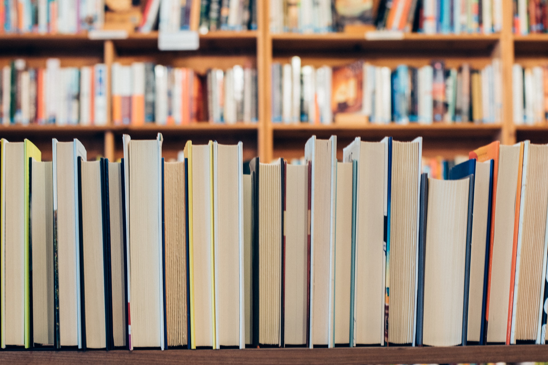 Libri da leggere a Gennaio: i romanzi migliori per iniziare l’anno